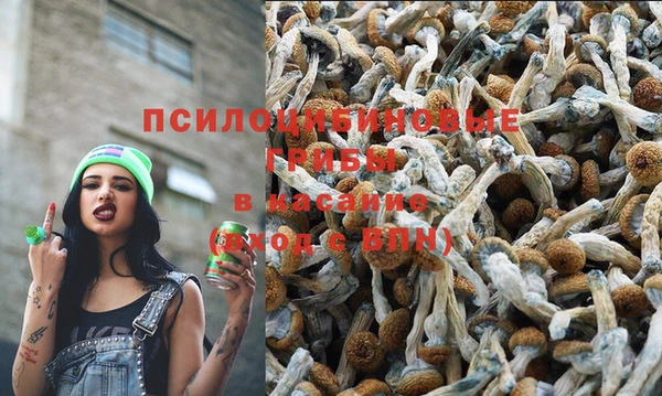 mix Надым