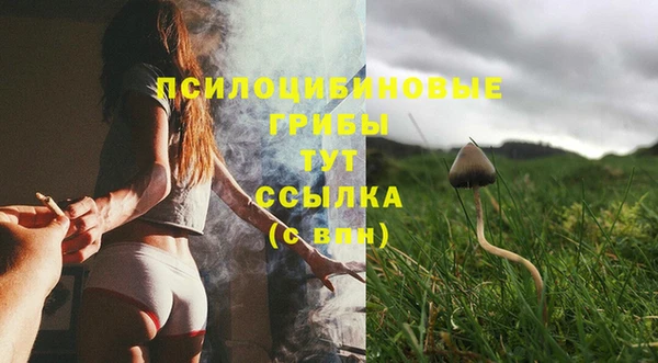 a pvp Нея