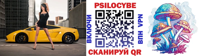 Галлюциногенные грибы GOLDEN TEACHER  купить   Мыски 
