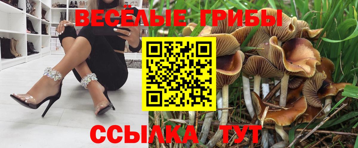 Галлюциногенные грибы прущие грибы Мыски