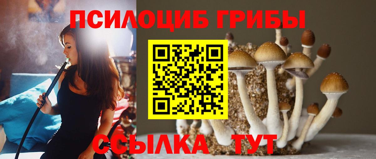 Мыски  Галлюциногенные грибы Psilocybe  Вход с VPN  Псилоцибиновые грибы GOLDEN TEACHER 