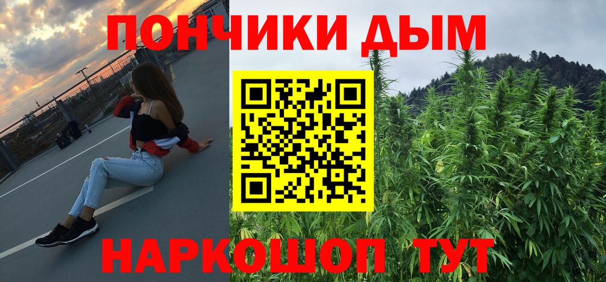 Бошки Шишки семена  Конопля VHQ  Мыски 